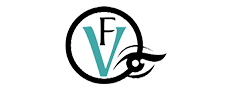 Floor Vision logo